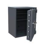 Salvus Rome 4