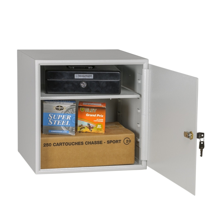 Binnenkluis-Mustangsafes-MSWG6-open-grijs