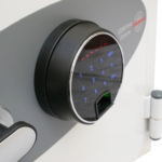 Phoenix Data Care DS2002F Brandwerende privékluizen MustangSafes