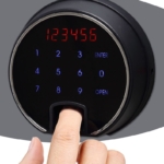 Phoenix Data Care DS2003F Geen categorie MustangSafes