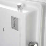 Phoenix Data Combi DS2501E Documentenkluizen MustangSafes