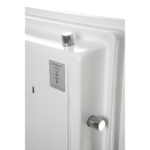 Phoenix Data Combi DS2504F Brandwerende privékluizen MustangSafes