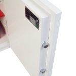 Phoenix Fortress MKII SS1183E Privékluizen MustangSafes