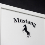 MustangSafes MSG 3-10BC Budget Serie MustangSafes